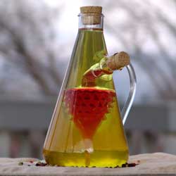 Oil & Vinegar Duet Bottle