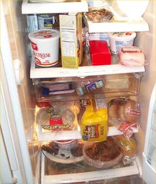 food fridge