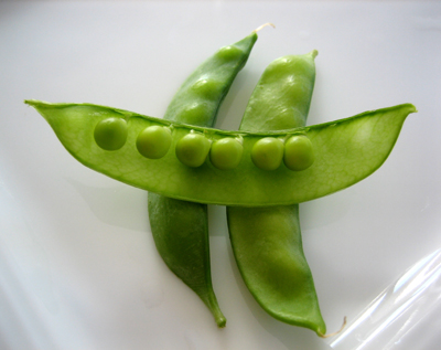 pea pod draft