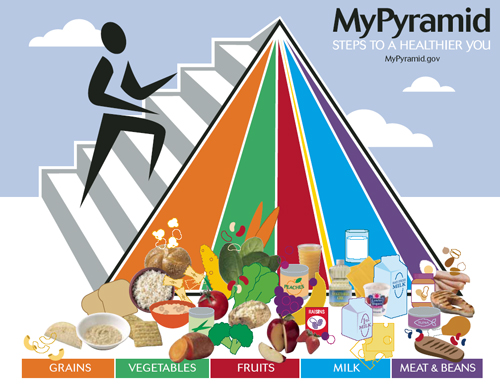 food pyramid pictures. Use the food pyramid