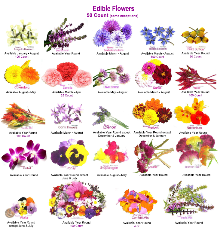 Different Types Of Flowers With Names Chart