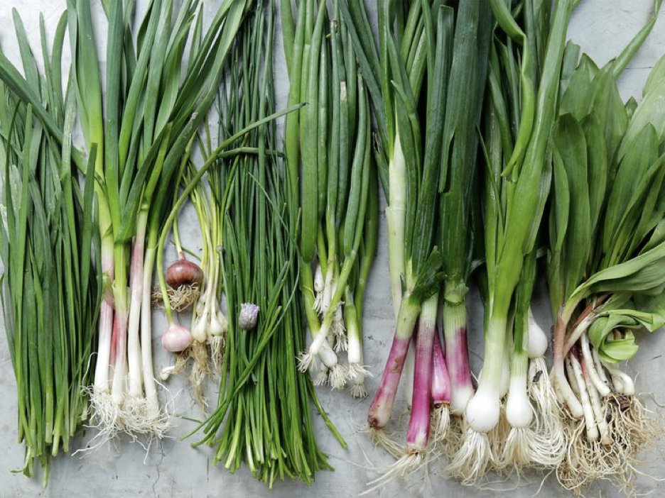 Green shallots