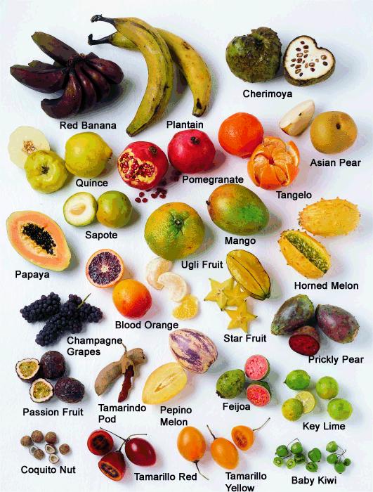 Fruits Ingredients Chart