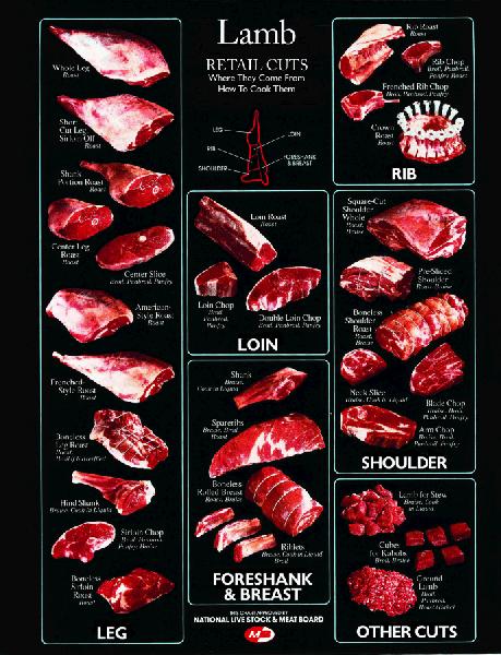 lamb meat cuts chart