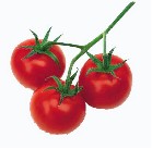 tomatos