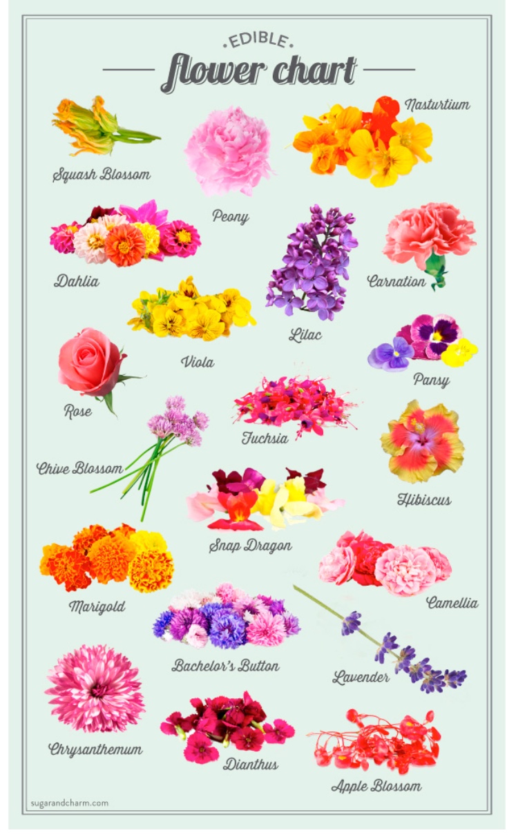 Monthly Flower Chart