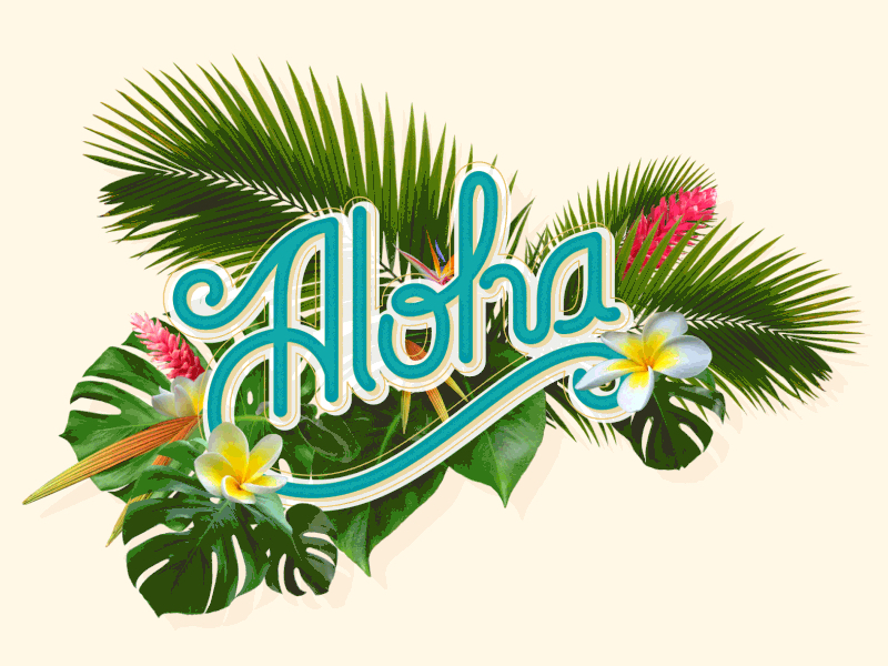 Free Aloha Video