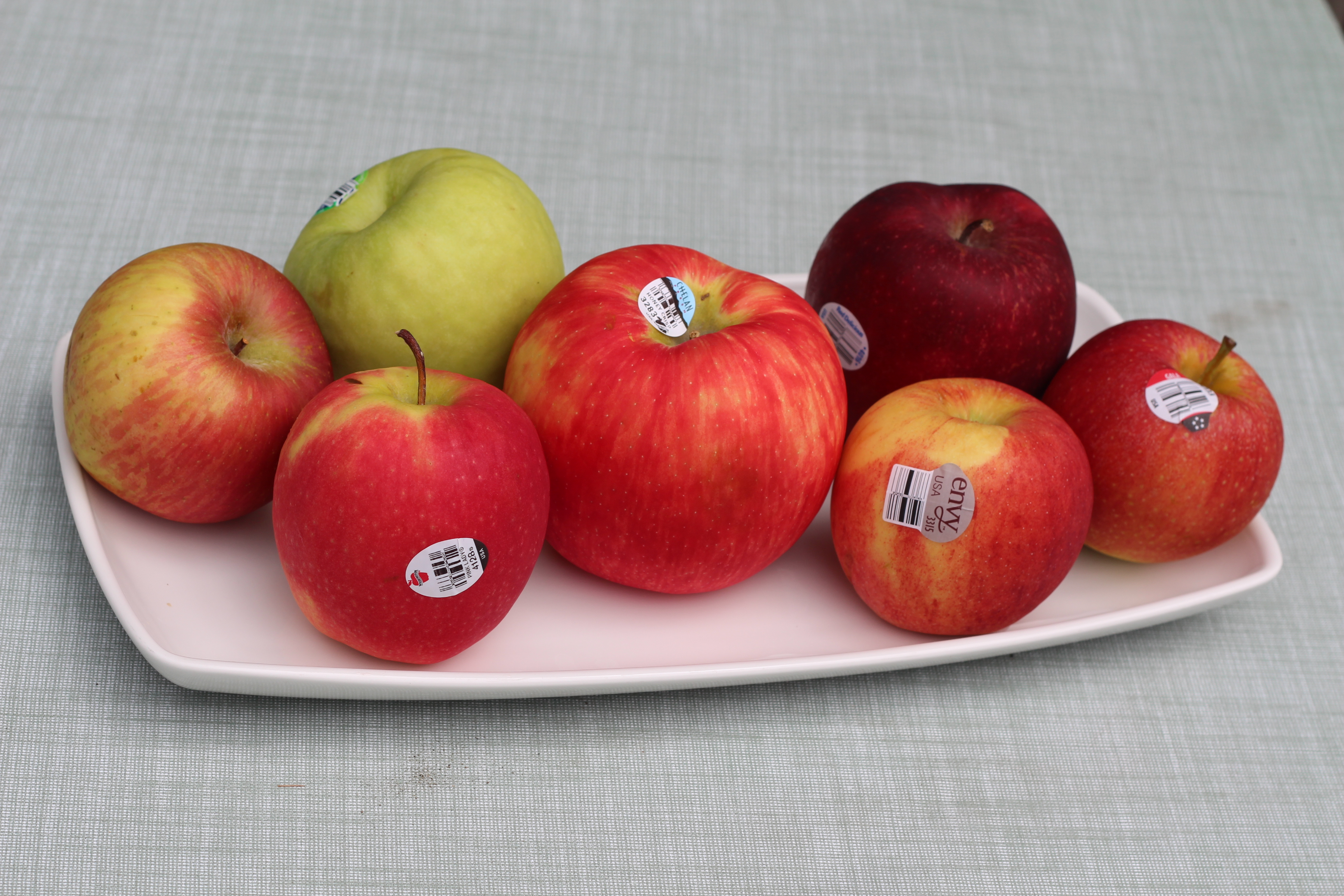 Apple - Honeycrisp - tasting notes, identification, reviews