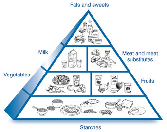 A drawing of the diabetes food pyramid, divided into six sections. Each section is labeled with the name of the food group and shows examples of foods in that group. At the base of the pyramid is the starches group. Above the base are two groups: vegetables and fruits. The milk group and meat and meat substitutes group are above the vegetables and the fruits. The fats and sweets group is at the top.