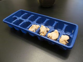 Ice Cube Tray to Freeze Cookie Dough