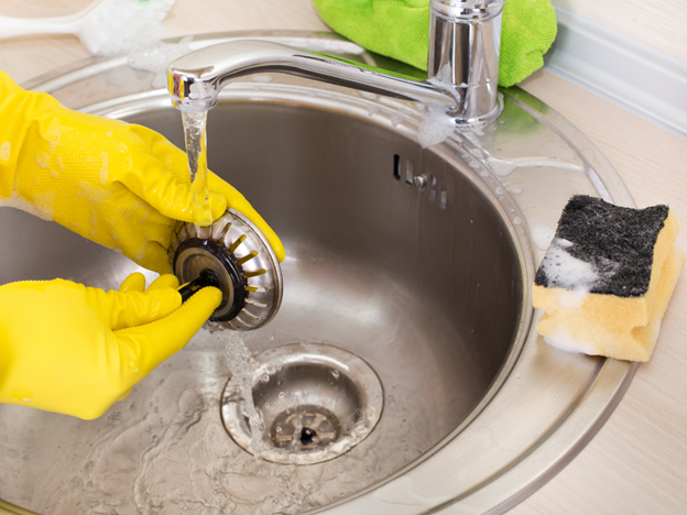 How To Get Rid Of Fruit Flies In Your Drains | Clover Contracting