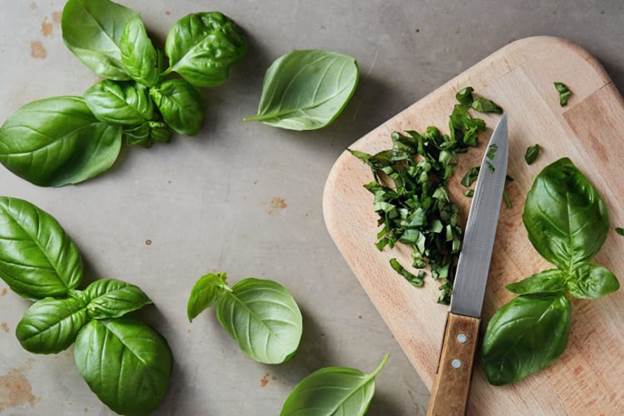 What Type of Knife Do You Use for Basil? | Cozymeal