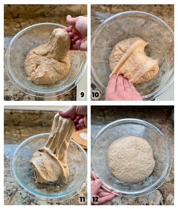 Einkorn Sourdough Bread - Amy Bakes Bread