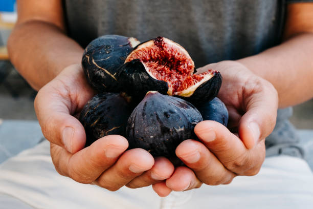 2,900+ Eating Figs Stock Photos and Royalty-Free Pictures - iStock