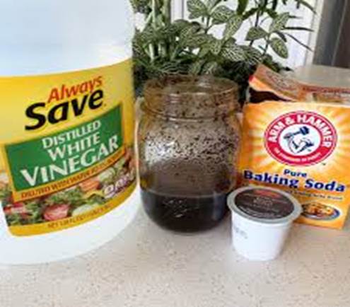 Coffee grounds absorb vomit liquid and odor