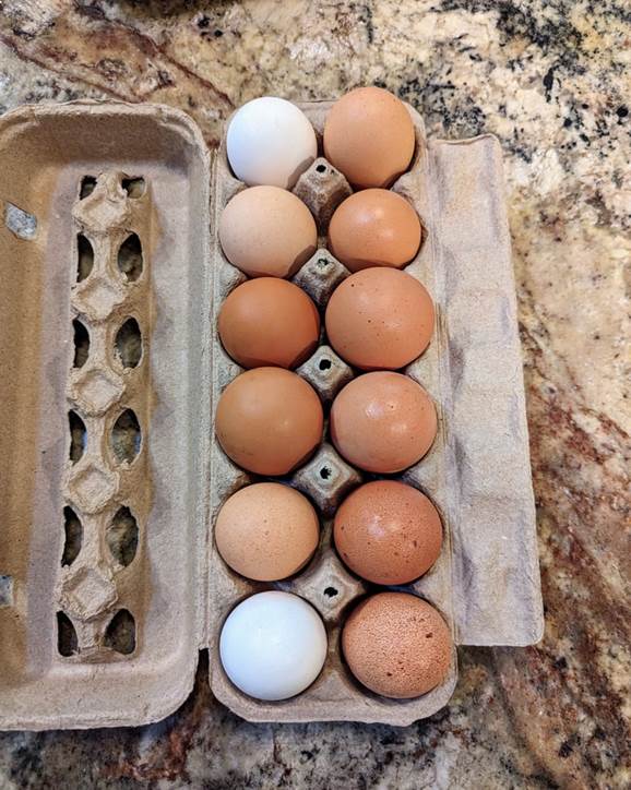 Farm Fresh Eggs | Free-Range, Local Eggs | Buy Fresh Farm Eggs Online