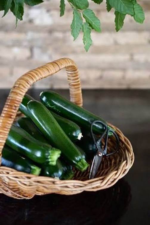 Growing Zucchini: Space-Saving and Pollination Tips for an Abundant Harvest  — Natasha Morgan