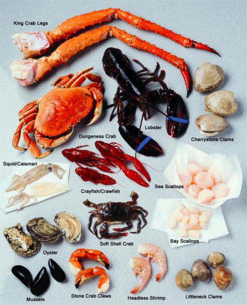 SHELLFISH BASICS